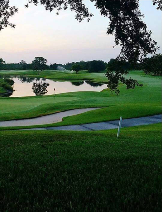 The Preserve at Highlands Ridge